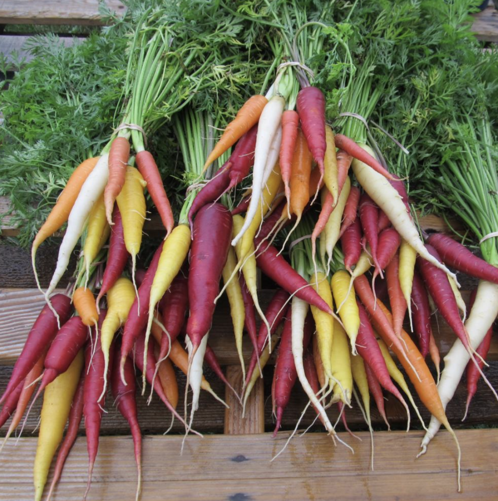 Kaleidoscope Carrots